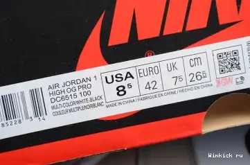 OG AIR PROTOTYPE 1 JORDAN HIGH 0606